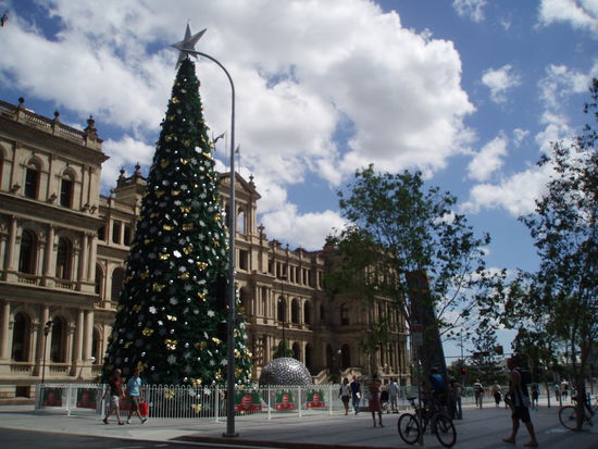 Vor dem Old Treasury Building stand inzwischen ein riesiger Weihnachtsbaum, der etwas künstlich aussah...