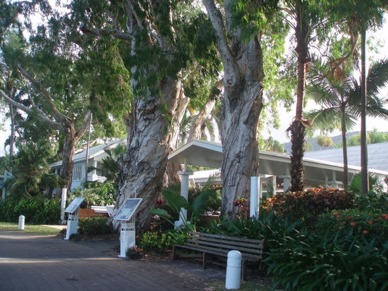 Noble Hotels ganz nah am Strand