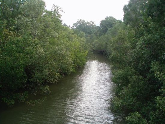 Centenary Lakes