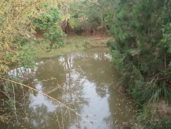 Peterson Creek - auf diese Wasserfläche starrt man gebannt, um ja nichts zu verpassen!