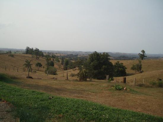 Bei Millaa Millaa - Ausblick von der Terrasse, auf der wir Lunch hatten