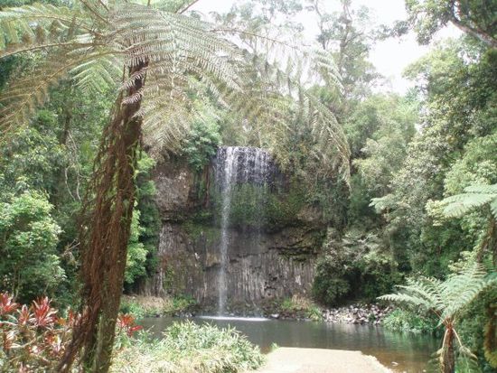 Millaa Millaa Falls