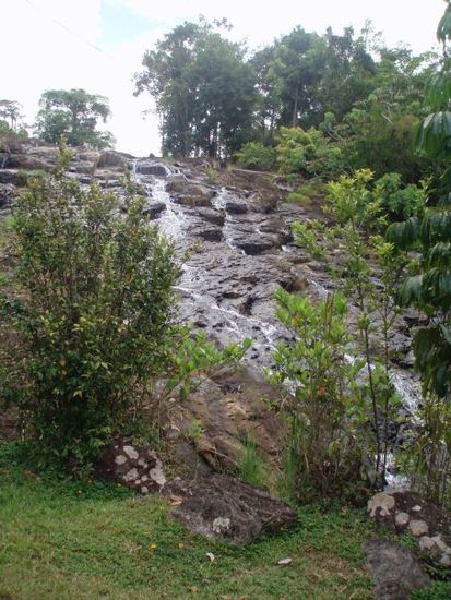 Lunch hatten wir neben einem weiteren Wasserfall der Tablelands, den Mungalli Falls. Ich weiß nicht, wie viele Wasserfälle es hier insgesamt gibt, aber es sind unzählige...