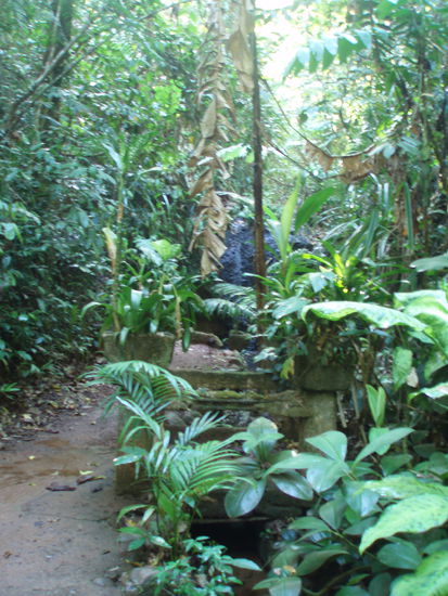 Die Gärten sind ziemlich zugewachsen und malerisch - hier bei den winzigen Teresa Falls (benannt nach Josés Tochter Teresa)