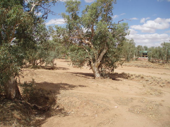 Der Todd River, ausgetrocknet wie fast immer