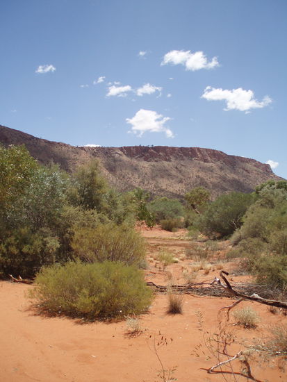 Der Alice Springs Desert Park liegt direkt am Fuß der Macdonnell Ranges