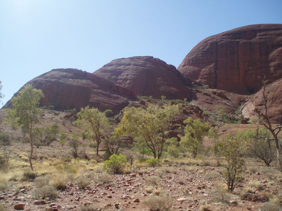 Kata Tjuta wurden von den Europäern die "Olgas" nach der Königin Olga von Württemberg genannt. Heute werden beide Bezeichnungen benutzt, offiziell heißen sie aber Kata Tjuta.