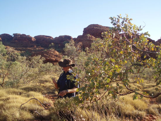 Am Anfang erklärte uns Georgette viel über die Flora und Fauna und die Geologie des Kings Canyon