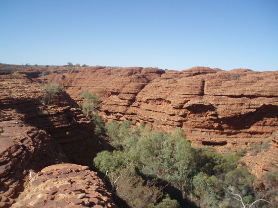 Blick in den Canyon von oben