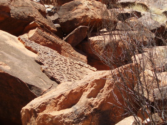 Er zeigte uns auch Fossilien und erzählte uns die dazugehörige Traumzeitgeschichte...