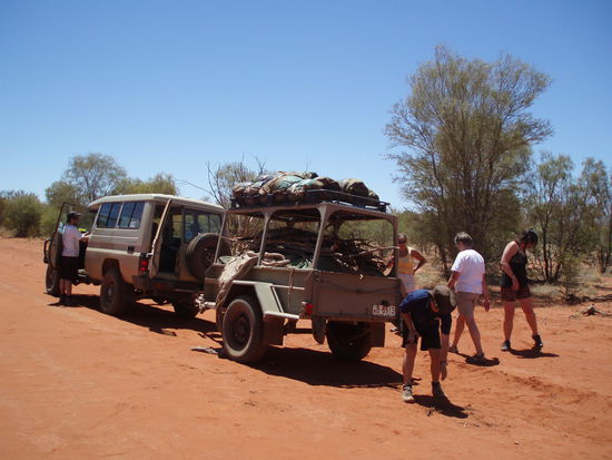 Was tun wir hier? Richtig, mal wieder Feuerholz sammeln...