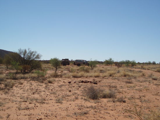 Wieder auf der Hugh River Stock Route, kamen wir am Owen Springs Reserve vorbei, der ersten Farm Zentralaustraliens von 1873