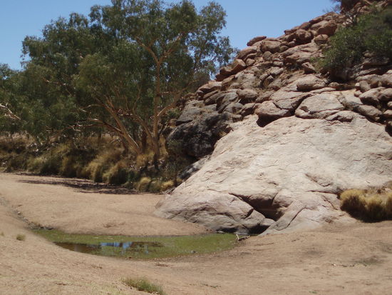 Alice Springs - alles begann wegen dieses Wasserlochs