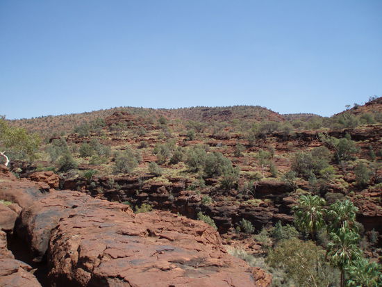 Hier erwartet man fast, dass jede Minute ein Dinosaurier um die Ecke kommt!