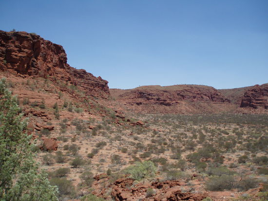 Ausblick vom Kallaranga Lookout - einfach irre!
