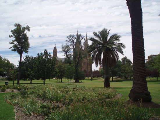 North Parklands nahe der St Peter's Cathedral. Geht man vom Elder Park Richtung Norden, gelang man automatisch hierher - der Grüngürtel, so wie William Light ihn geplant hat.