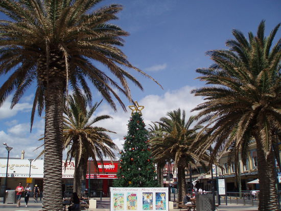 Weihnachten steht vor der Tür - auch wenn es sich bei dem Wetter nicht so anfühlt!