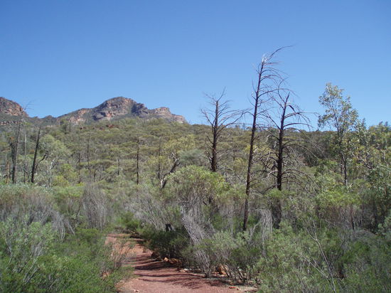 Wanderung zum Arkaroo Rock