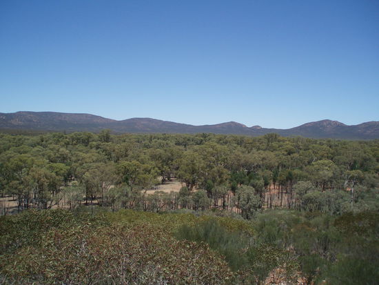 Wilpena Pound