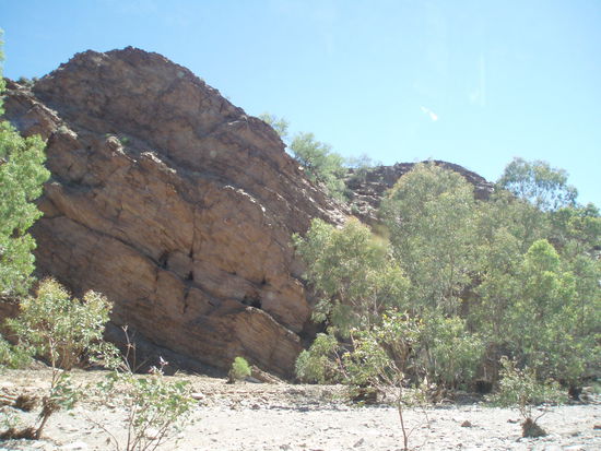 Brachina Gorge