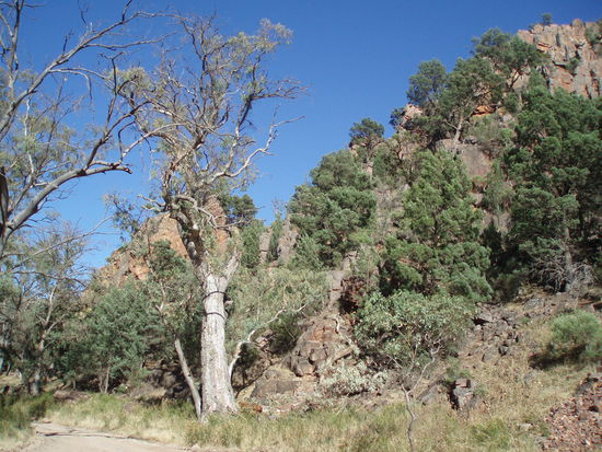 Warren Gorge