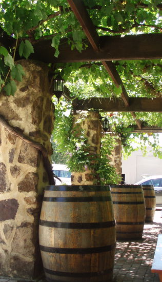 Auf dem Weingut Kaesler