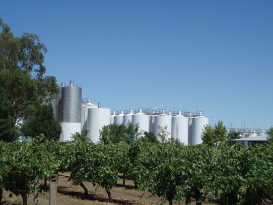 Auf dem Weingut Wolf Blass sieht man die andere Seite der Weinindustrie...