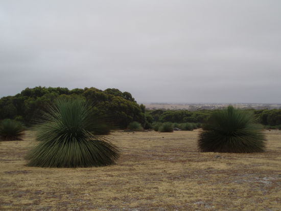 Ausblick vom Cottage