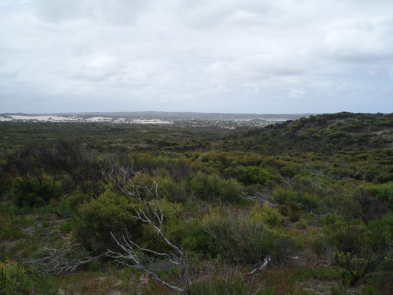 Warten in der Pampa