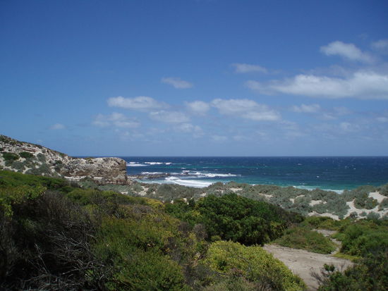 Seal Bay