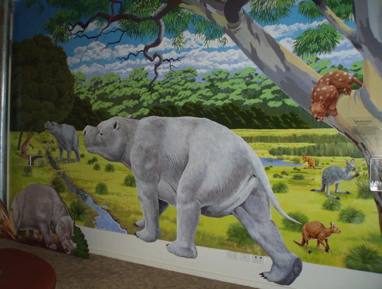 Im Flinders Chase Visitor Centre - solche Tiere lebten hier einmal!