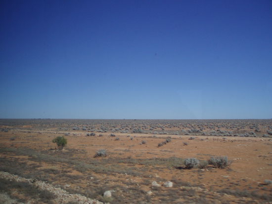 Fahrt durch die Nullarbor Plain: Einfach unglaublich.