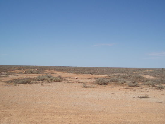 Wenn die fünf Einwohner Cooks aus ihren Häusern treten, sehen sie DAS!
