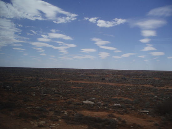 Nach Forrest gibt es wieder nur Horizont...