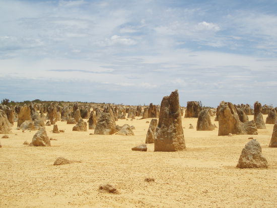 Die Pinnacles im Nambung NP