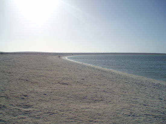 Shell Beach