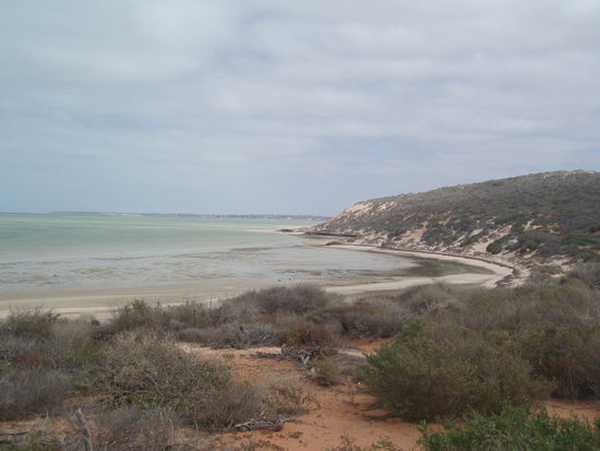 Ausblick vom Shark Bay Aquarium