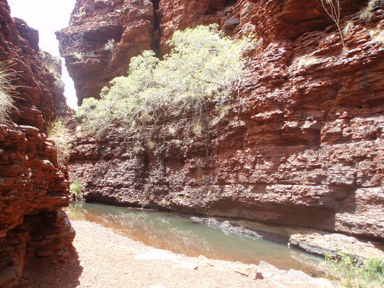 Am Eingang der Weano Gorge