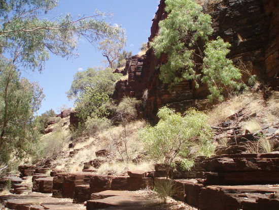 Weiter geht es durch die Schlucht