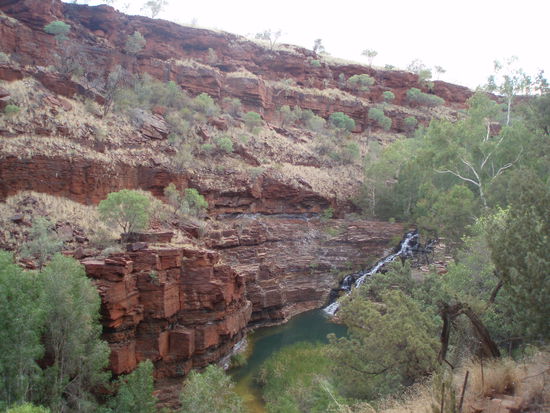 Nach dem Aufstieg aus der Schlucht: Fortescue Falls von oben