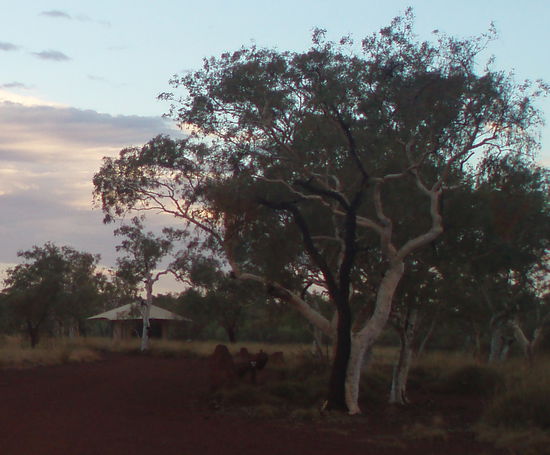 Hinten links unser Zelt