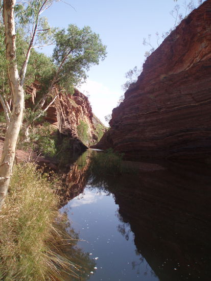 Hamersley Gorge
