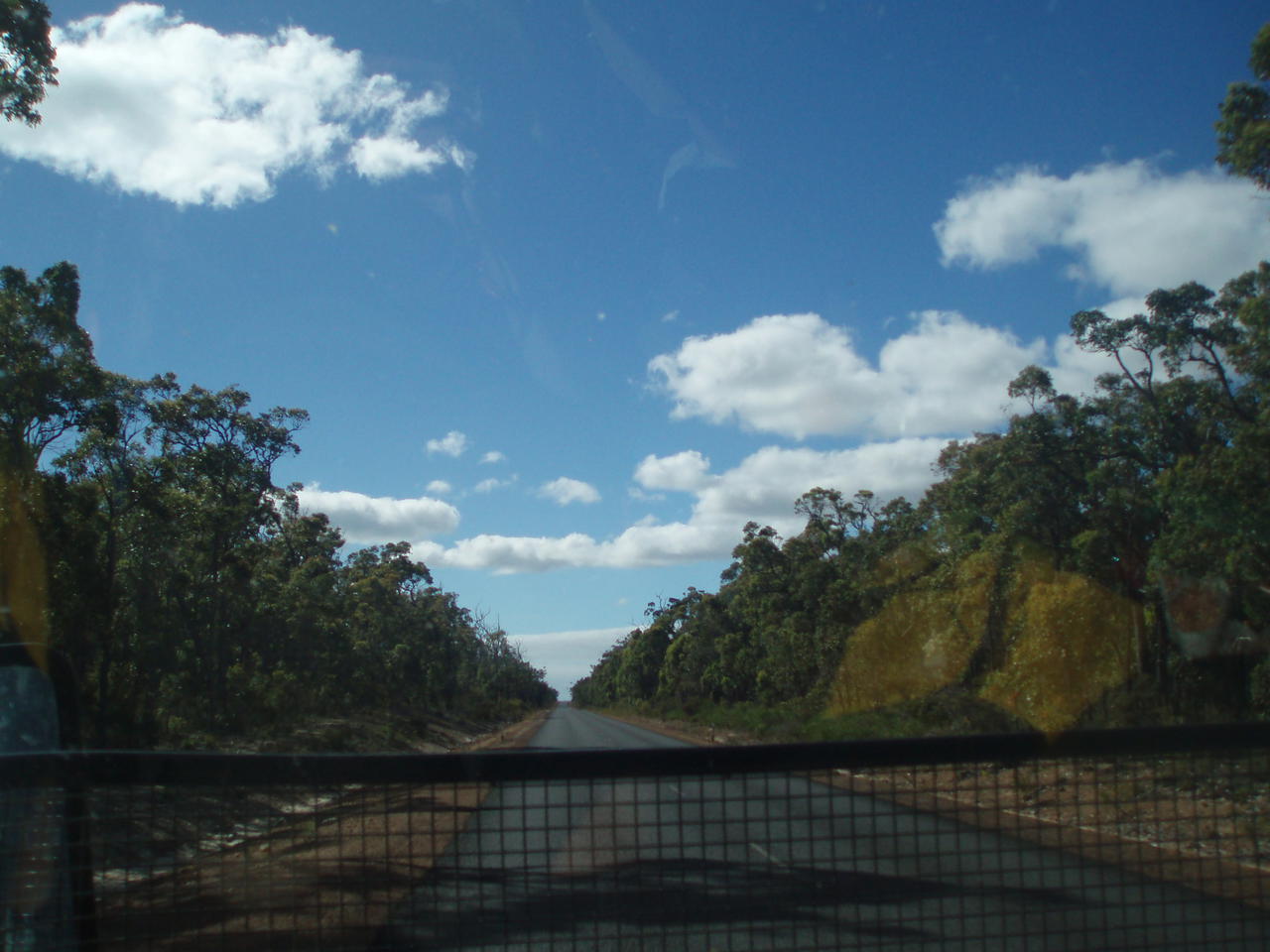 AustralienReisebericht "Augusta bis Albany"