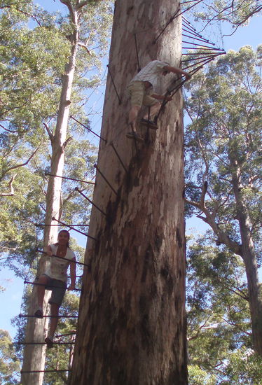 Auf solchen spartanischen Eisenstangen hochklettern... Nein danke, ich hab schon genug Herzflimmern, wenn ich denen zuschaue 