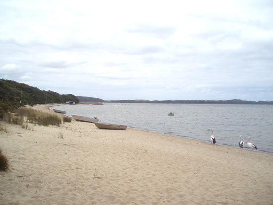 Coalmine Beach, wo wir Lunch hatten