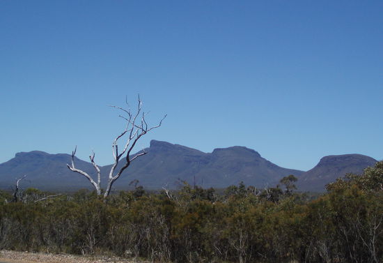 Die Stirling Ranges