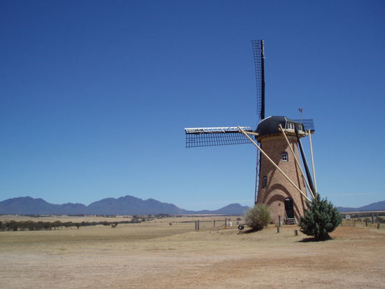 Kurzer Stop bei der Lily, einer holländischen Windmühle mitten in der Pampa