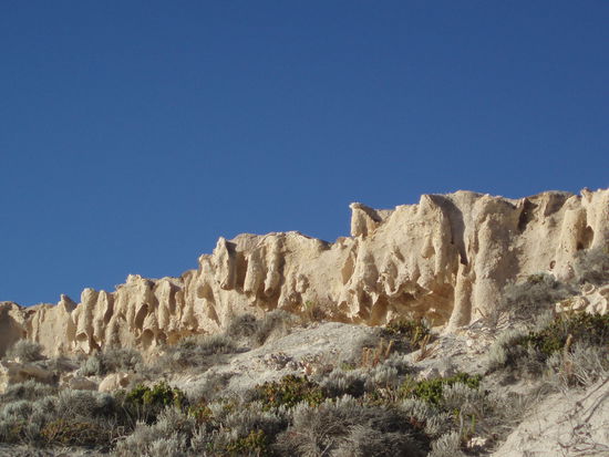 ...direkt daneben den Ten Mile Beach (kein Witz, sehr einfallsreiche Namensgebung, darum hab ich mal die andere Seite des Strands und nicht das Wasser fotograftert  )