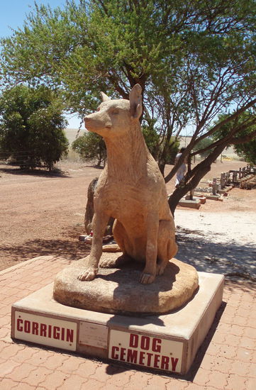 Hier gibt es sogar einen Hundefriedhof, den wir auch kurz besuchten.