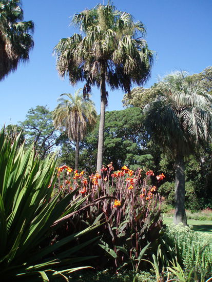 Der Botanische Garten von Melbourne wird offiziell zu den schönsten der Welt gezählt